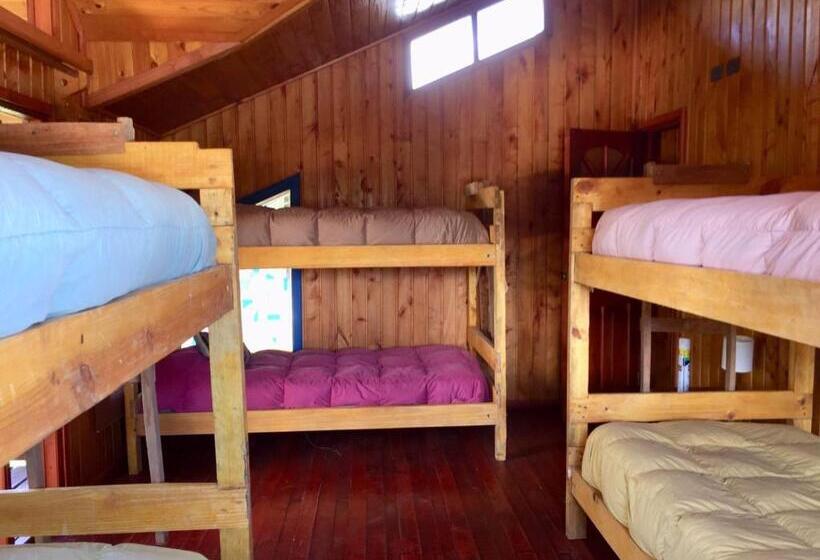 Cama em Quarto Compartilhado, Hostel Raiz