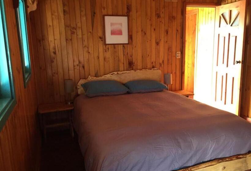 Quarto Estandar Banheiro Compartilhado, Hostel Raiz