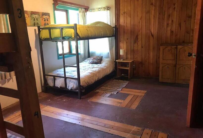 Cama em Quarto Compartilhado, Hostel Raiz