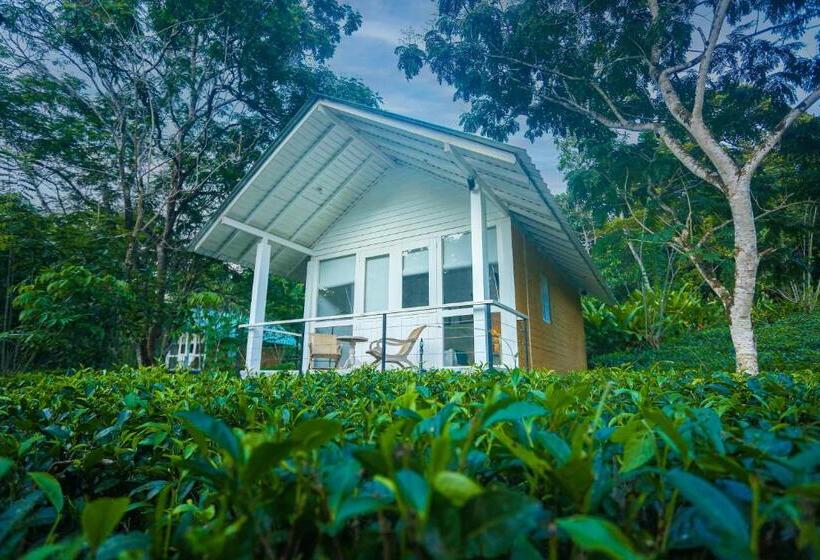 شاليه سوبيريور غرفة نوم واحدة, Ilukketiya Tea Chalets