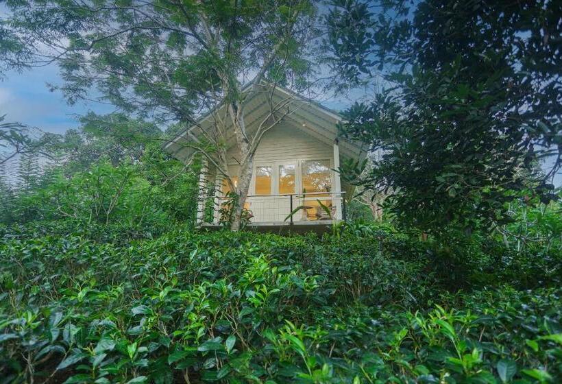 شاليه سوبيريور غرفة نوم واحدة, Ilukketiya Tea Chalets