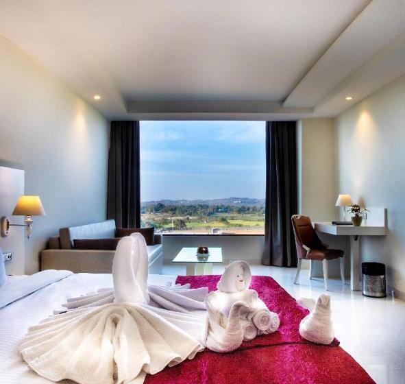 غرفة قياسية سرير كينج, Royal Orbit