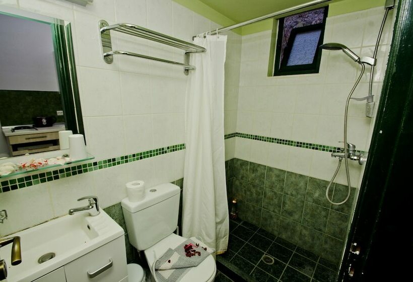 スタンダードルーム, Stella