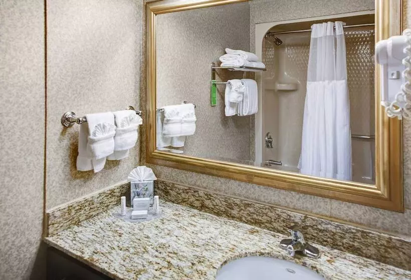 ２ベッドスイートルーム, Towneplace Suites Atlanta Buckhead