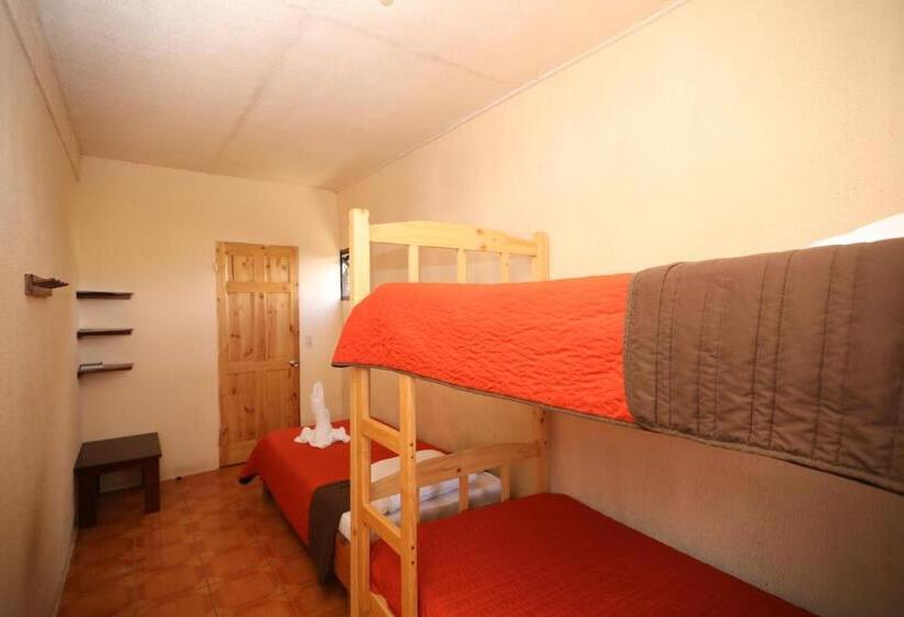חדר בסיסי לשלושה, Maris Bed & Breakfast Monteverde