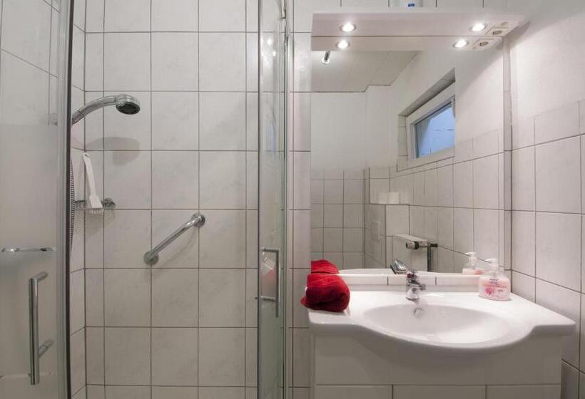 庭の見えるシングルルーム, Pension Werdohl