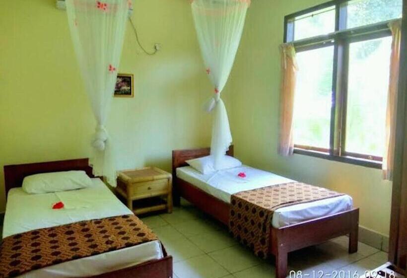 جناح عائلي, Sea World Club Beach Resort & Dive Center