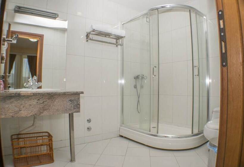 اتاق استاندارد, Feni