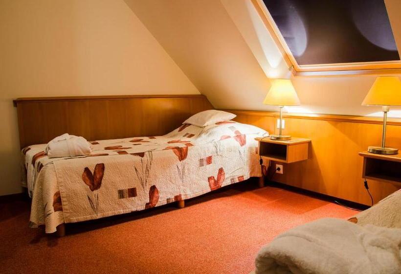 다락방 스탠다드 룸, Kehida Termál Resort & Spa