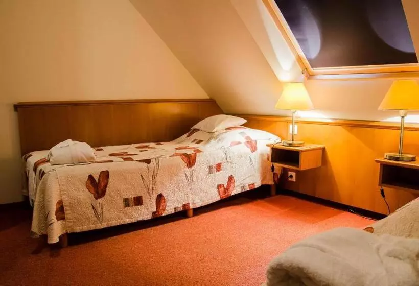 屋根裏部屋風スタンダードルーム, Kehida Termál Resort & Spa
