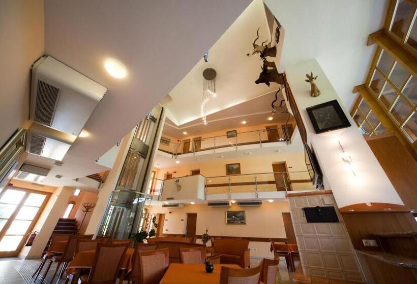 Номер Стандарт в Мансарде, Kehida Termál Resort & Spa