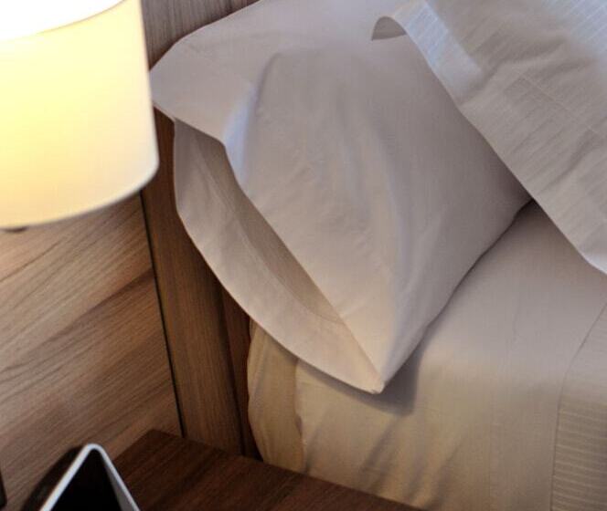 Одноместный Номер Executive, Aku Hotels