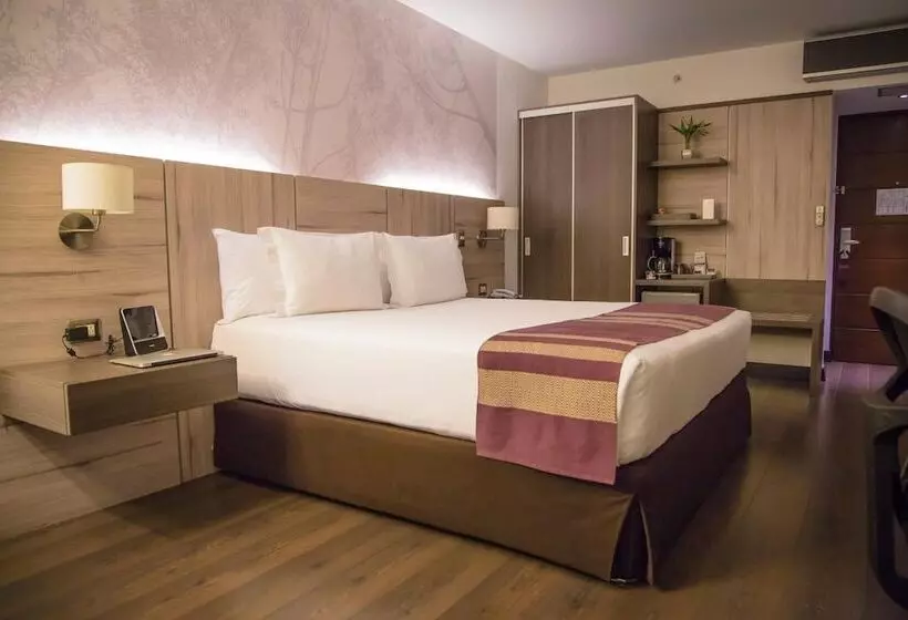エクゼクティブシングルルーム, Aku Hotels