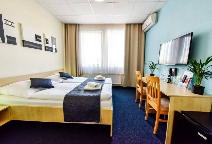 Camera Standard, City