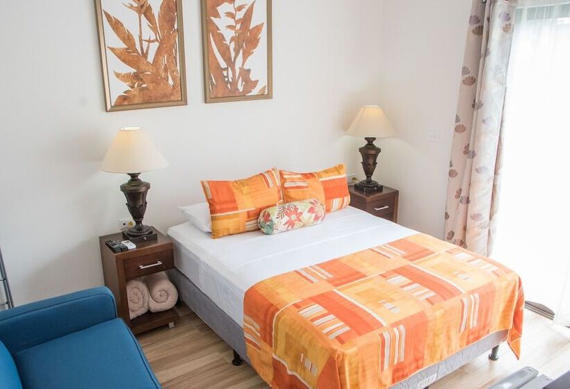 غرفة قياسية, Eco Arenal