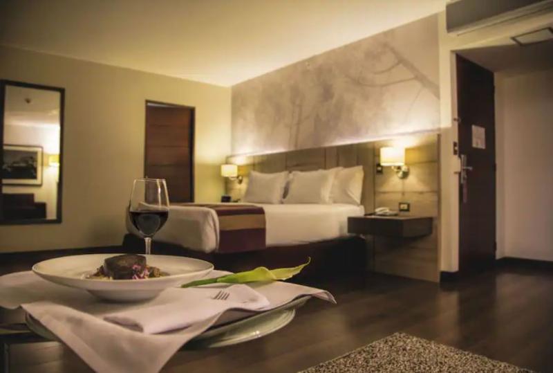 行政单人间, Aku Hotels