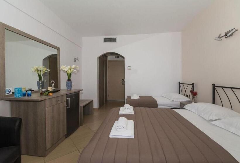 חדר סטנדרט לשלושה, Anesis