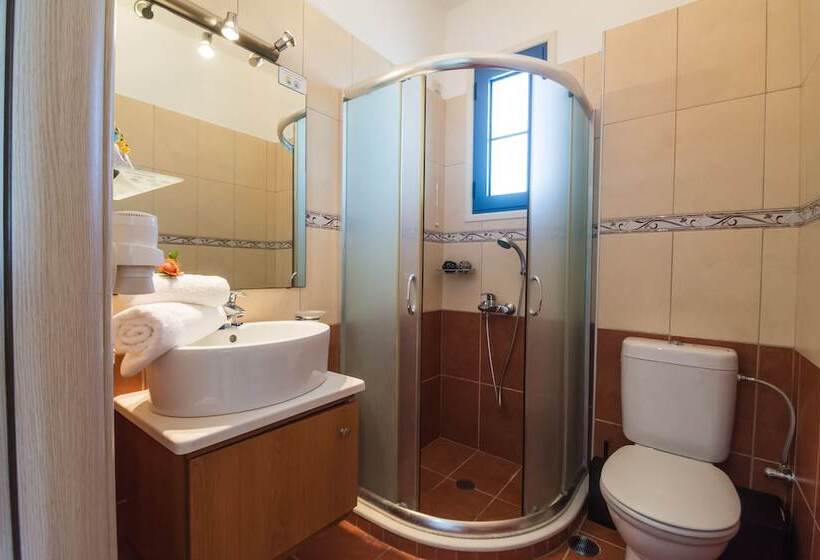 חדר סטנדרט לשלושה, Anesis