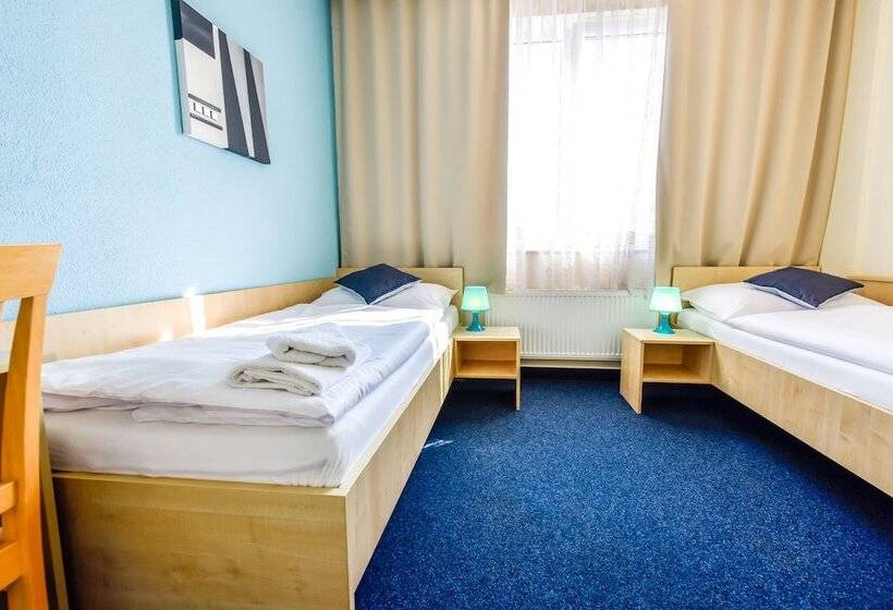 Camera Standard, City