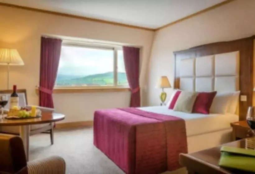 Standard-huone, Talbot Hotel Clonmel