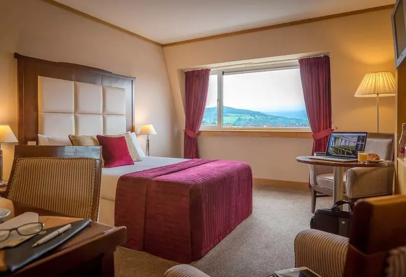 Standard-huone, Talbot Hotel Clonmel