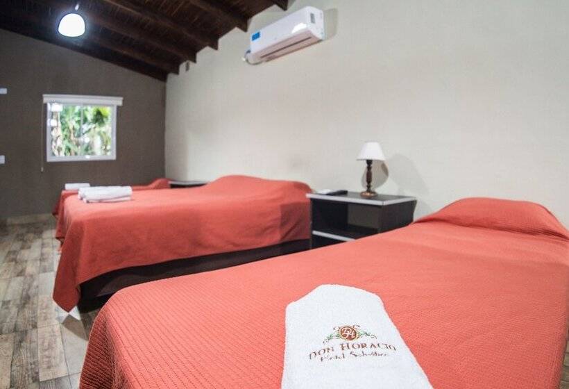 غرفة عائلية, Don Horacio