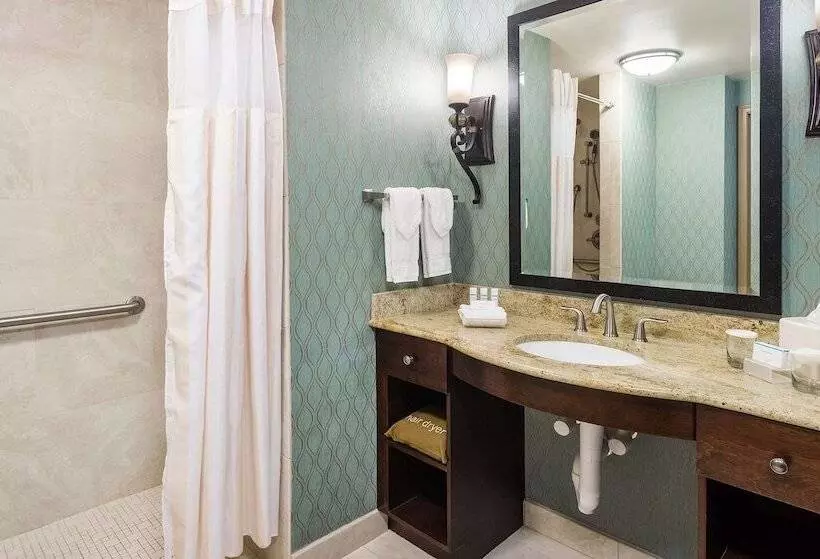 スタンダードスタジオ, Homewood Suites By Hilton Shreveport / Bossier City, La