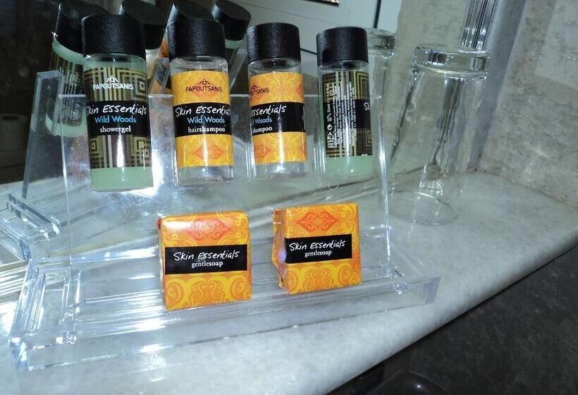 带城市景观的标准单人间, Zefyros