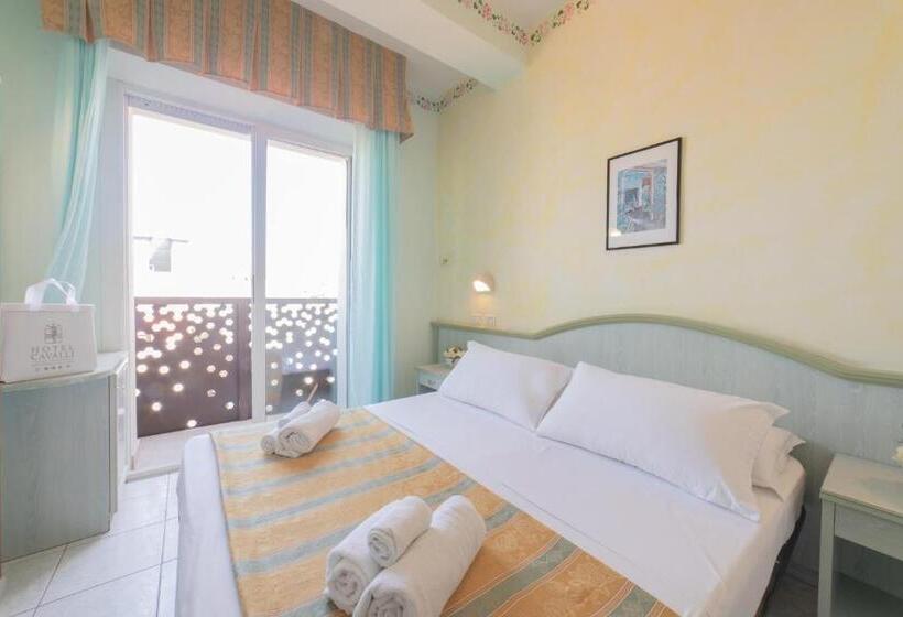 Camera Standard, Cavalli