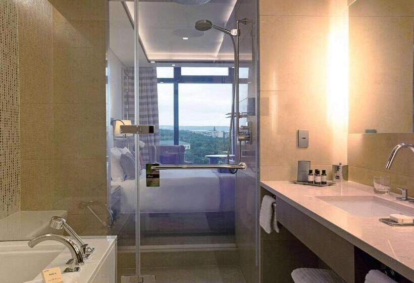 اتاق دلوکس با تخت کینگ و چشمانداز شهر, Fairmont Baku Flame Towers