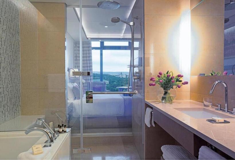 اتاق استاندارد با تخت بزرگ, Fairmont Baku Flame Towers