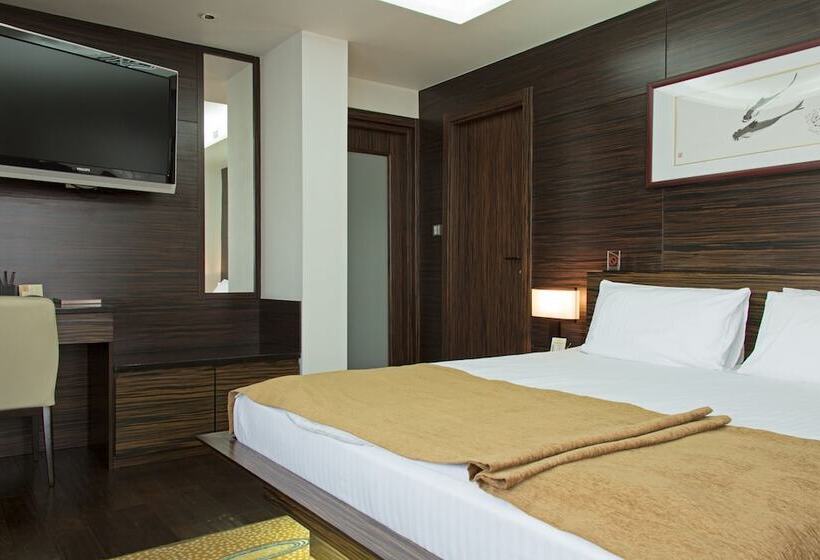 شقة غرفة واحدة, International Hotel Sayen