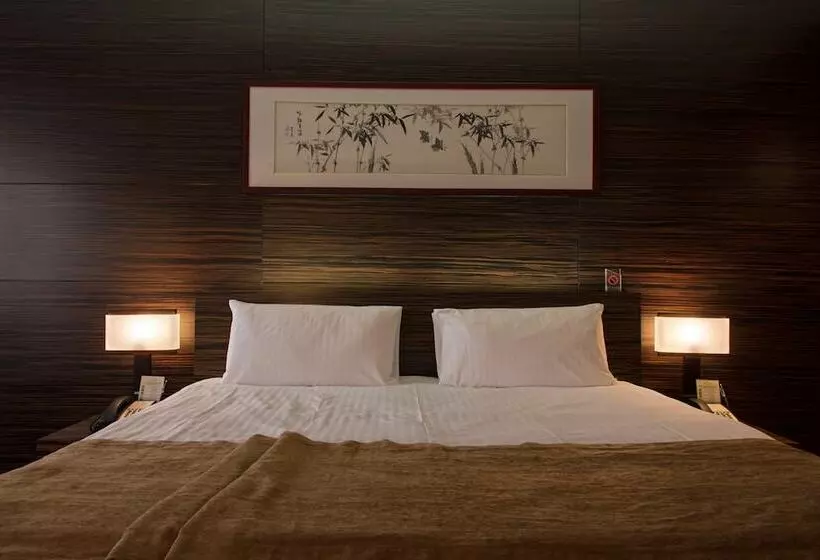 اتاق استاندارد, International Hotel Sayen