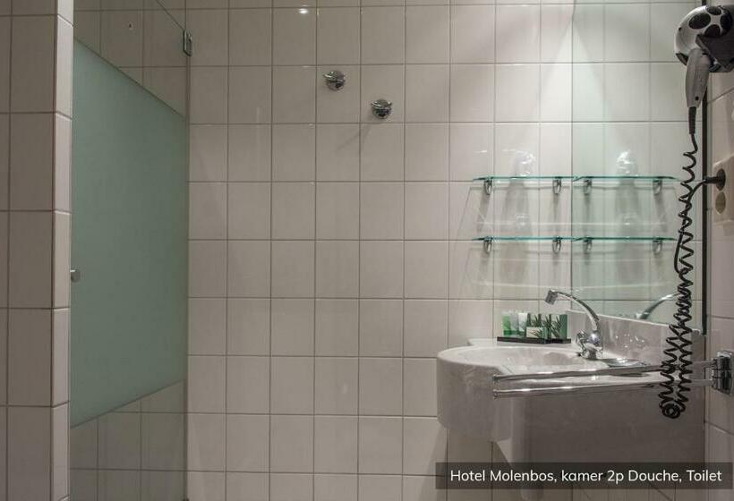 Standard Single Room, Molenbos Texel