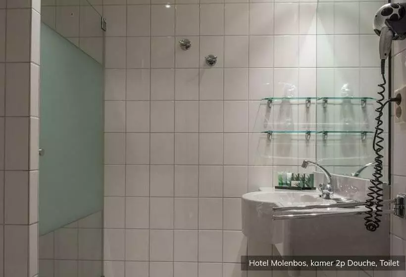 Standard Yhden Hengen Huone, Molenbos Texel