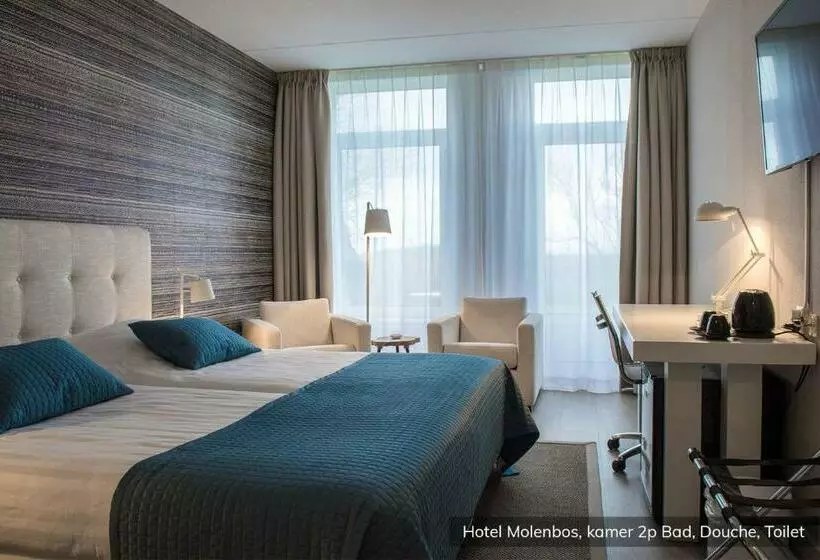 Standard Yhden Hengen Huone, Molenbos Texel