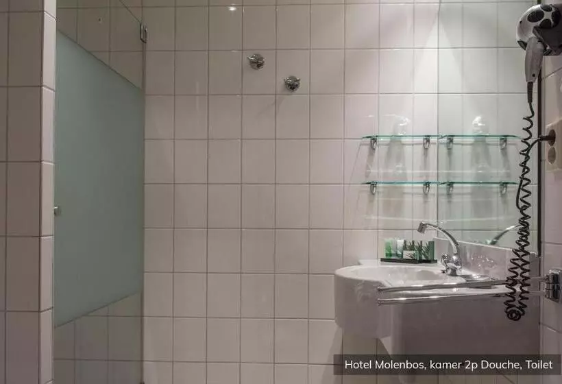 Standard-huone, Molenbos Texel