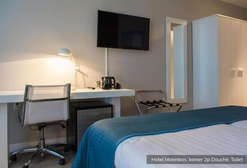 Standard Room, Molenbos Texel