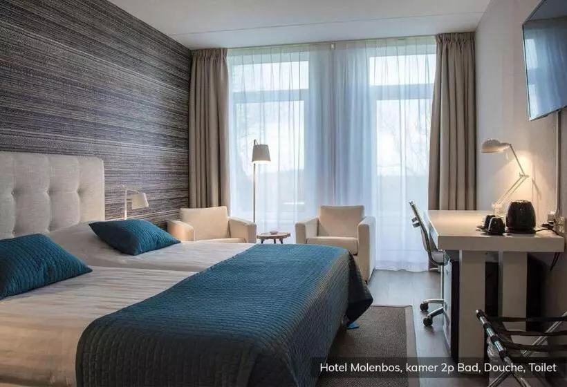 Standard-huone, Molenbos Texel
