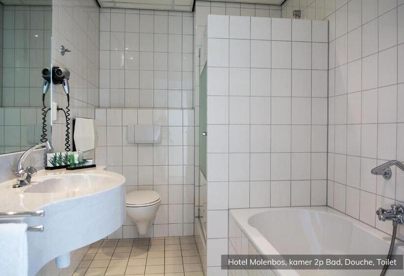 Standard Room, Molenbos Texel