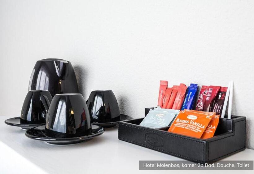 Standard Room, Molenbos Texel