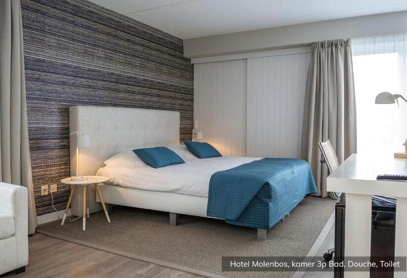 Standard Room, Molenbos Texel