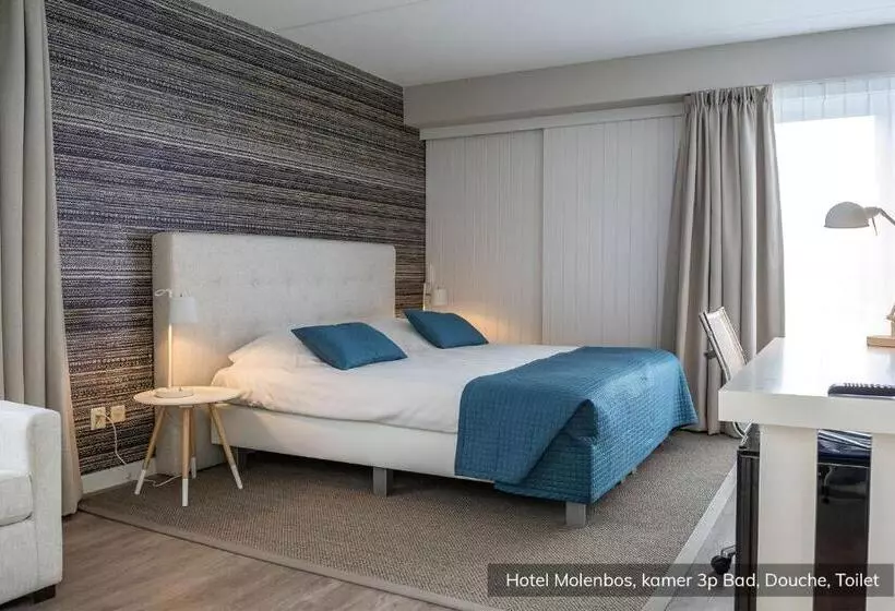 Standard Kolmen Hengen Huone, Molenbos Texel