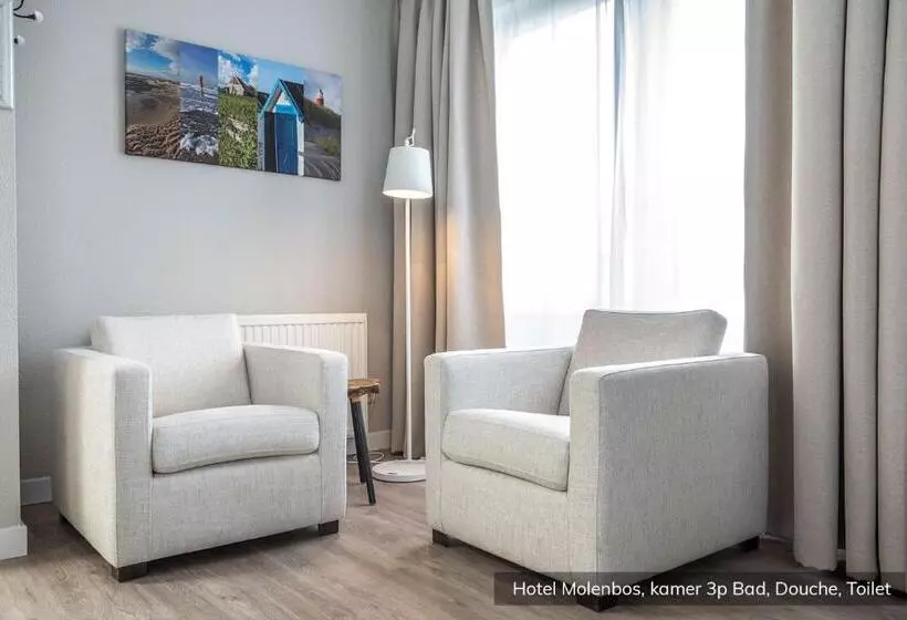 Standard Kolmen Hengen Huone, Molenbos Texel