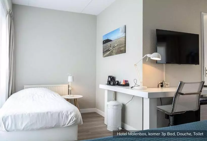 Standard Kolmen Hengen Huone, Molenbos Texel