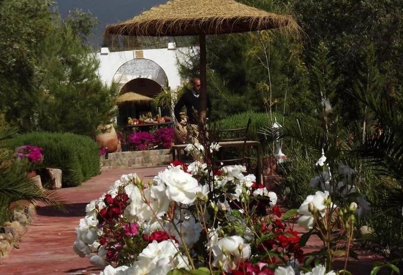 اتاق استاندارد, Sel D Ailleurs, Atlas Mountain Retreat   Adults Only