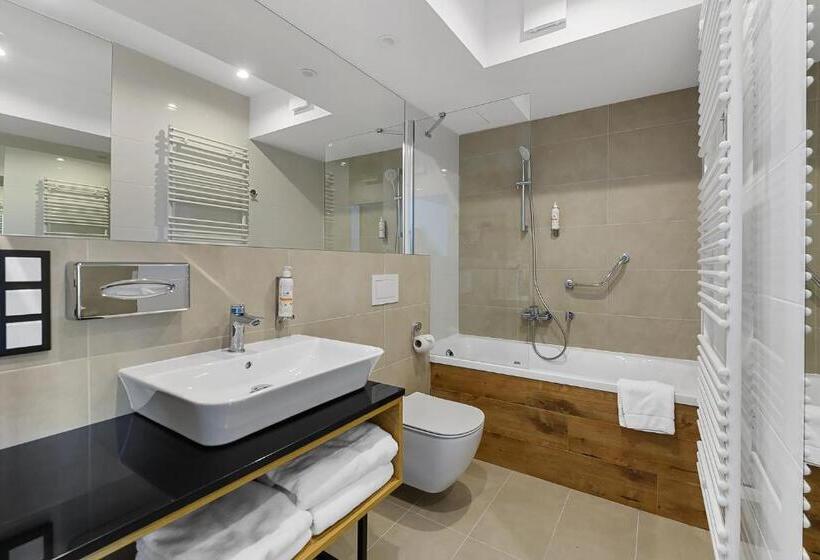 اتاق سوپریور با تخت بزرگ, Aparthotel Termy Uniejów