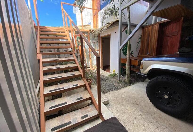 스탠다드 룸, Gufo Rooms , Apartahotel , La Fortuna Volcan Arenal