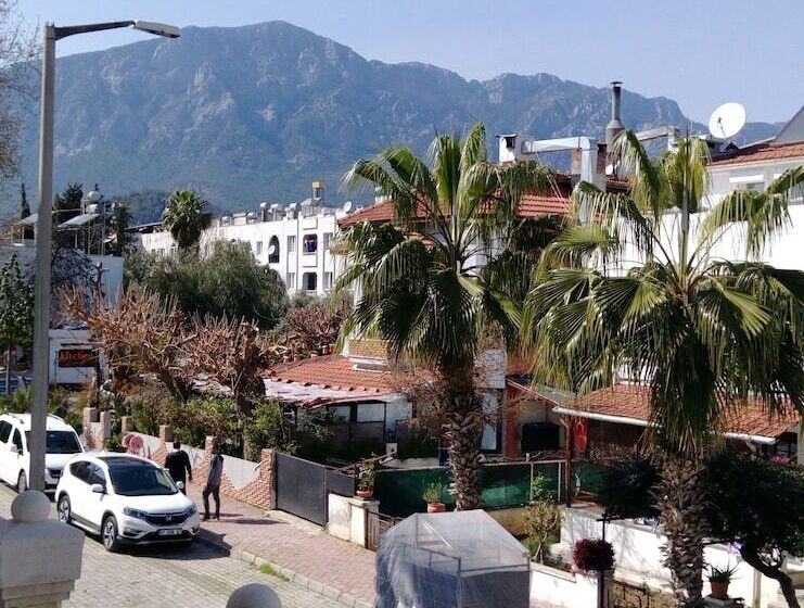 スタンダードルーム, Dinara