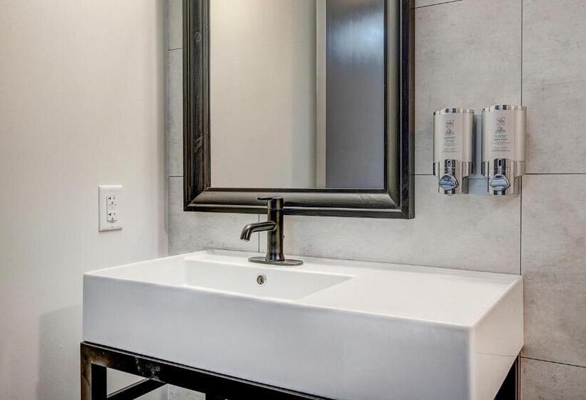 带大床的标准间, The Pad